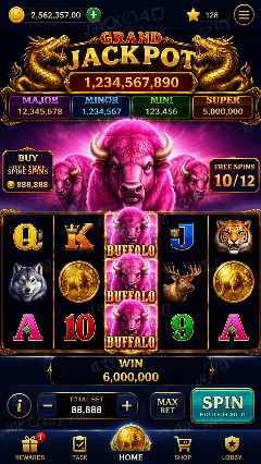 joko4d Screenshot 2
